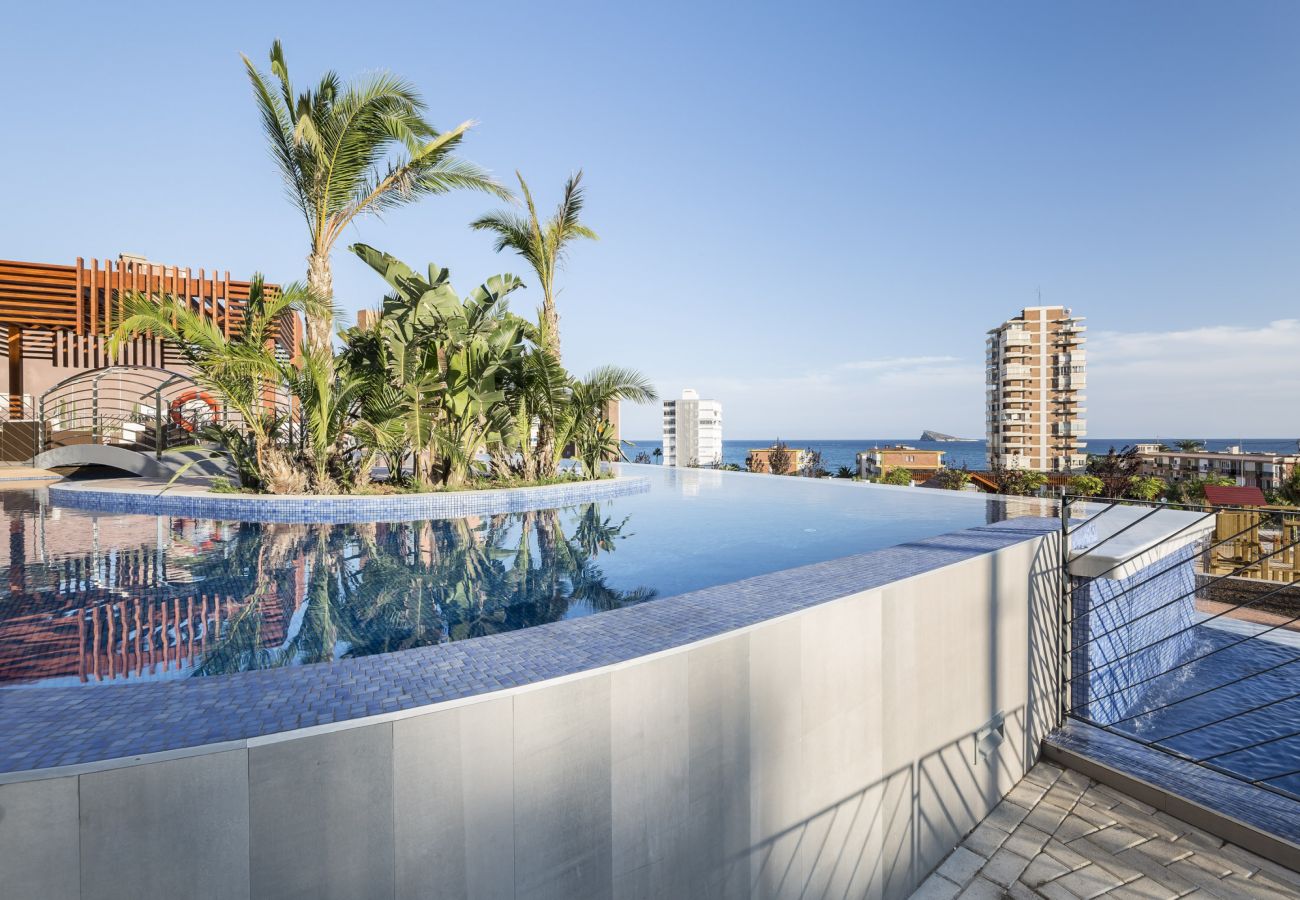 Apartment in Benidorm - DRIVE MOON 2 Bedrooms Apartments 